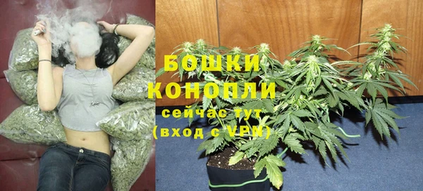 jwh Алзамай
