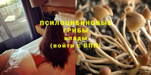 стафф Алексеевка