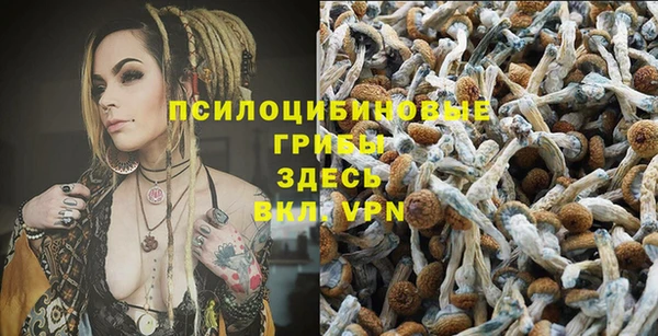стафф Алексеевка