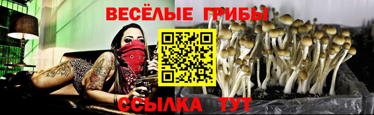 Псилоцибиновые грибы ЛСД  Псилоцибиновые грибы Psilocybine cubensis  Бирск  Вход с VPN 
