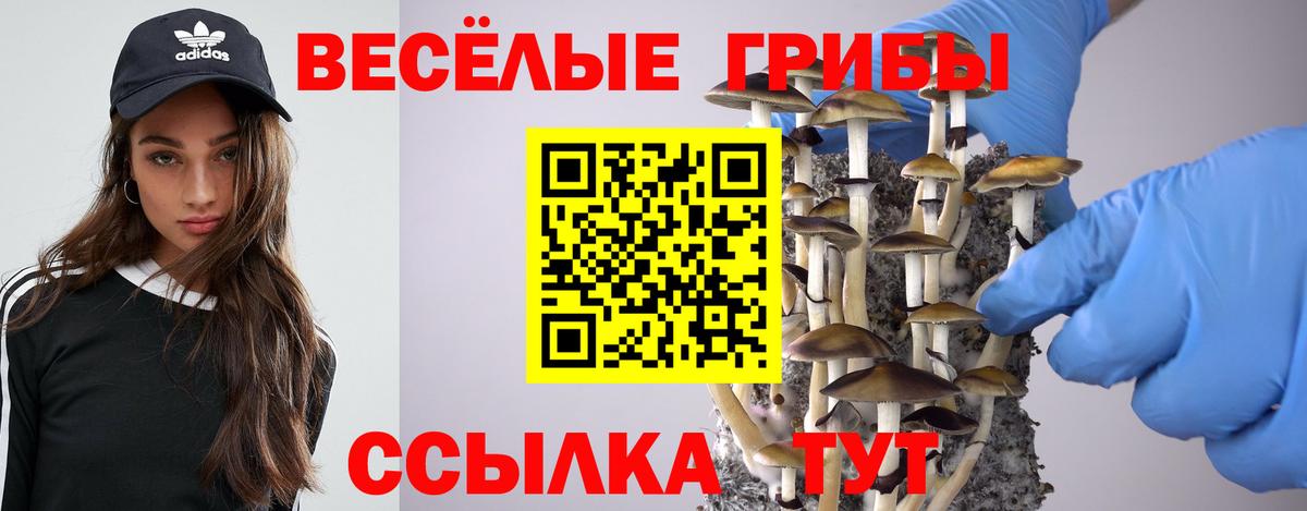 Псилоцибиновые грибы мухоморы Бирск